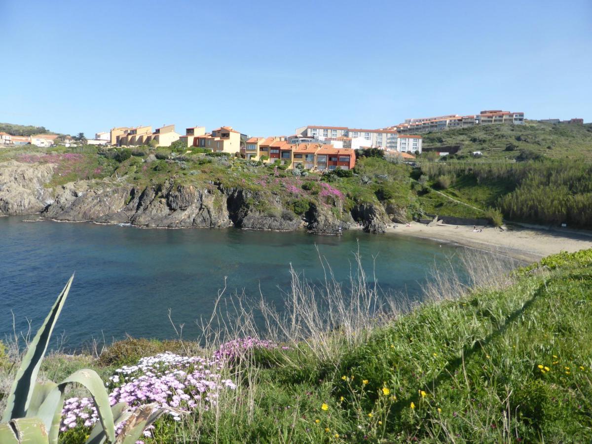 2Rb38A Appartement Vue Sur Mer Et Proche Plage Collioure Eksteriør bilde